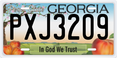 GA license plate PXJ3209