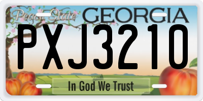 GA license plate PXJ3210