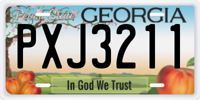 GA license plate PXJ3211