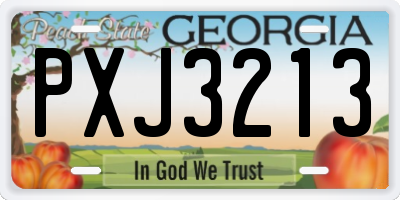 GA license plate PXJ3213
