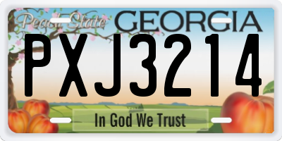 GA license plate PXJ3214