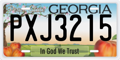 GA license plate PXJ3215