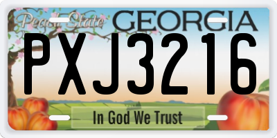 GA license plate PXJ3216