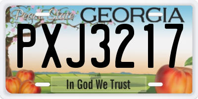 GA license plate PXJ3217