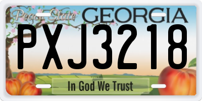 GA license plate PXJ3218