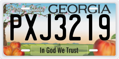 GA license plate PXJ3219