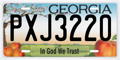 GA license plate PXJ3220