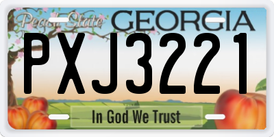 GA license plate PXJ3221