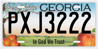 GA license plate PXJ3222