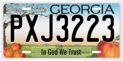 GA license plate PXJ3223