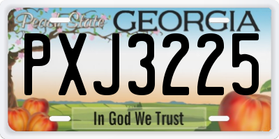 GA license plate PXJ3225