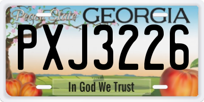 GA license plate PXJ3226