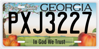 GA license plate PXJ3227