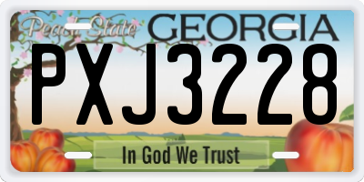 GA license plate PXJ3228
