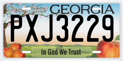 GA license plate PXJ3229