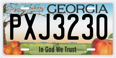 GA license plate PXJ3230