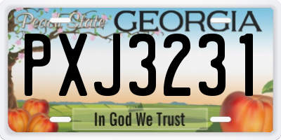 GA license plate PXJ3231