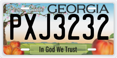 GA license plate PXJ3232