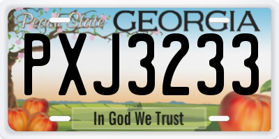 GA license plate PXJ3233