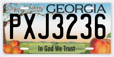 GA license plate PXJ3236