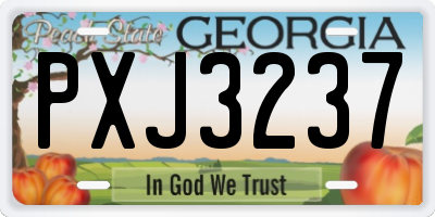 GA license plate PXJ3237