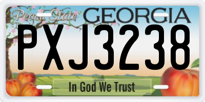 GA license plate PXJ3238