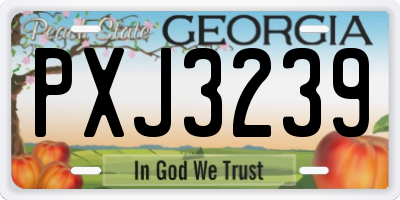 GA license plate PXJ3239
