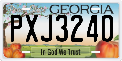 GA license plate PXJ3240
