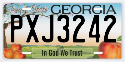 GA license plate PXJ3242