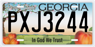 GA license plate PXJ3244