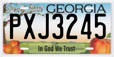 GA license plate PXJ3245