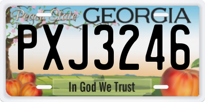 GA license plate PXJ3246