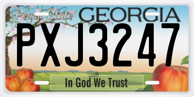 GA license plate PXJ3247