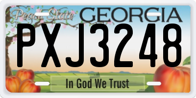GA license plate PXJ3248