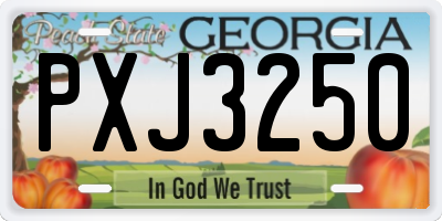 GA license plate PXJ3250