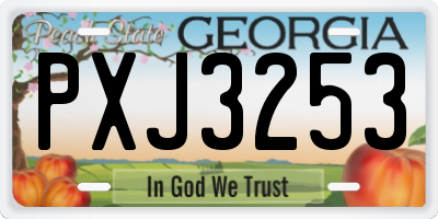 GA license plate PXJ3253