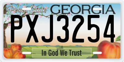 GA license plate PXJ3254