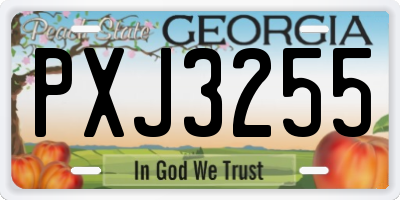 GA license plate PXJ3255