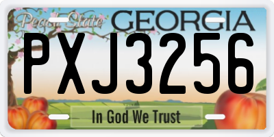 GA license plate PXJ3256