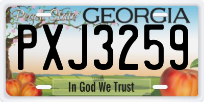 GA license plate PXJ3259