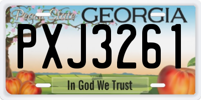 GA license plate PXJ3261