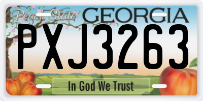 GA license plate PXJ3263