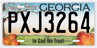 GA license plate PXJ3264