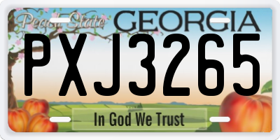 GA license plate PXJ3265