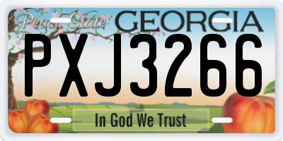 GA license plate PXJ3266