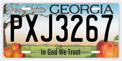 GA license plate PXJ3267