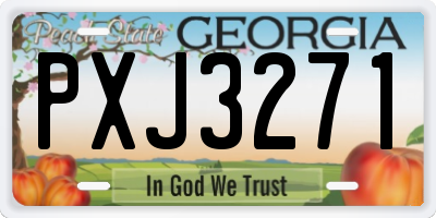 GA license plate PXJ3271