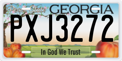 GA license plate PXJ3272