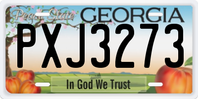 GA license plate PXJ3273