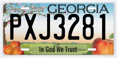 GA license plate PXJ3281